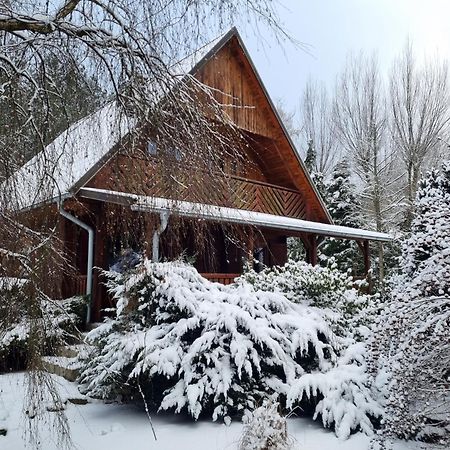 Sowa I Kumple Vila Drezdenko Exterior foto